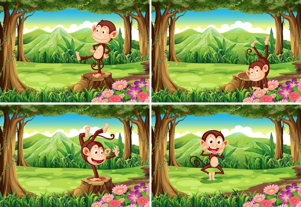 Quatre scènes de singes dans le parc — Image vectorielle