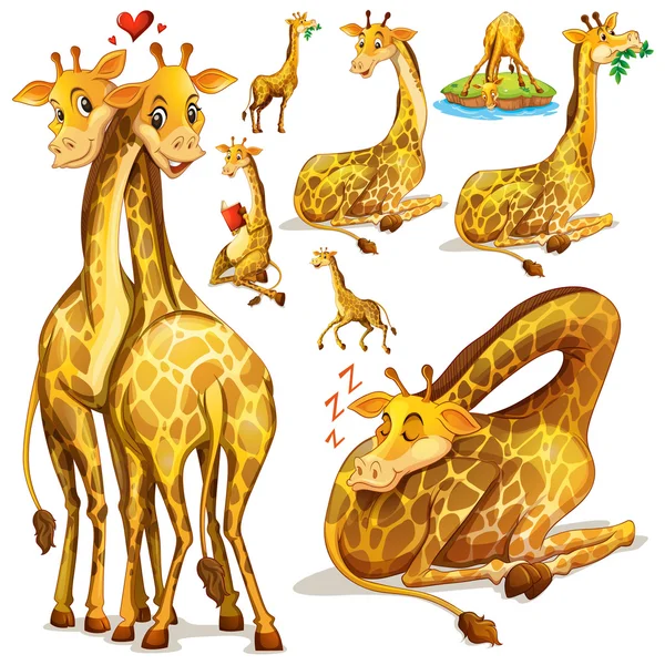 Giraffen in verschillende posities — Stockvector