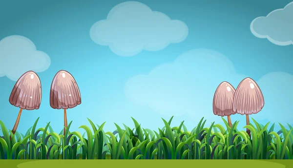 Scène avec champignon dans le champ — Image vectorielle