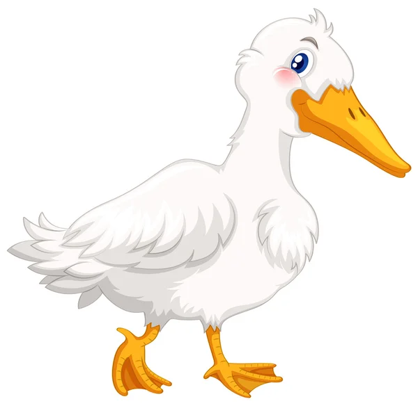 Pato con pluma blanca — Vector de stock