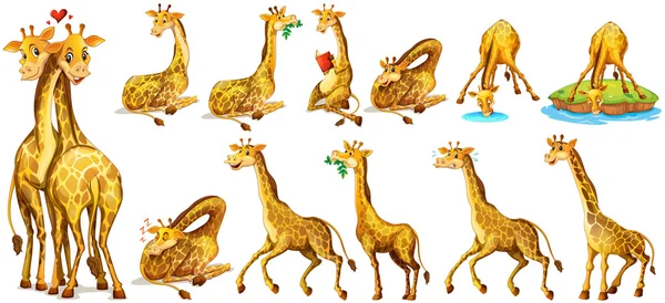 Set di giraffe in diverse azioni — Vettoriale Stock