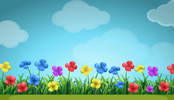 Escena con flores de colores en el campo — Vector de stock