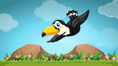 Gökyüzünde uçan toucan