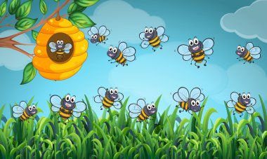 Arıların kovan uçan