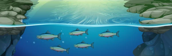 Peces nadando bajo el río — Vector de stock