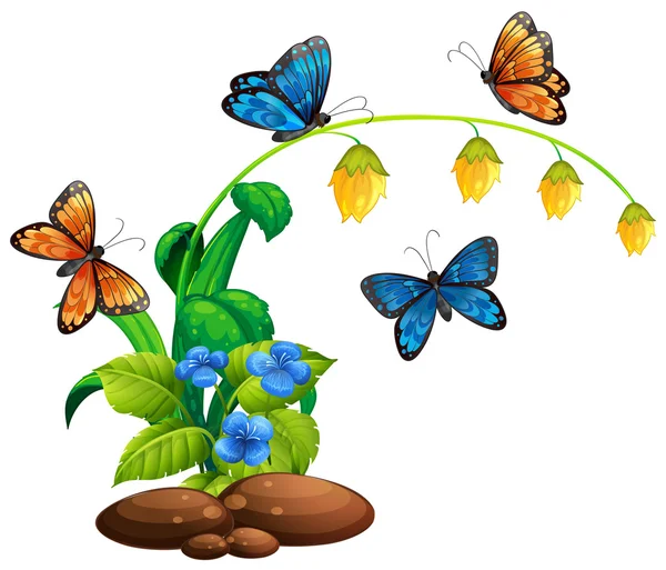 Butterflies flying around the plant — Stock Vector