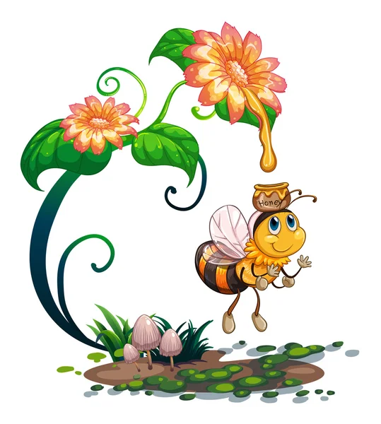 Bee collecting honey from the flower — Stock Vector