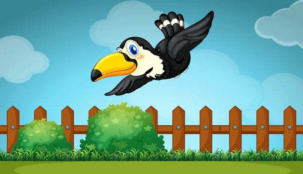 Toucan sobrevolando el campo — Vector de stock