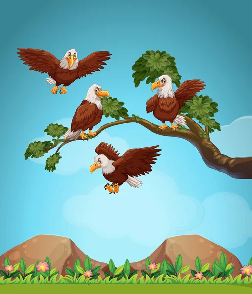 Eagles flying over the field — Stock Vector