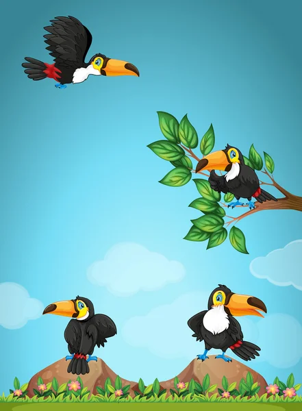 Four toucans flying in the garden — Stock Vector
