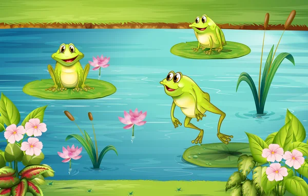 Three frogs living in the pond — Stock Vector