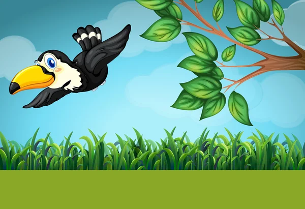 Scene med toucan flyvende i marken – Stock-vektor