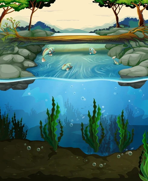 Scène met vis zwemmen in de rivier — Stockvector