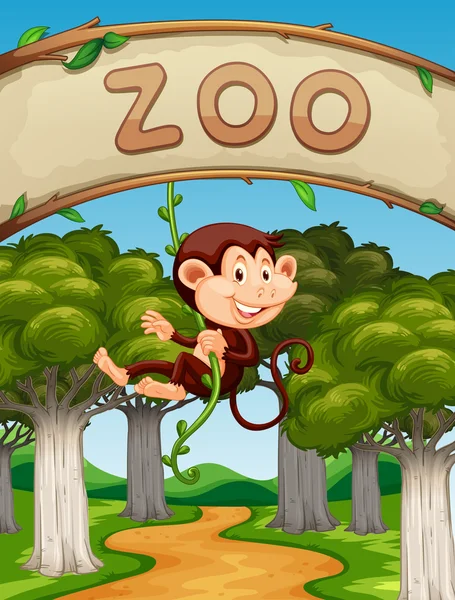 Monkey hanging on vine in the zoo — Stock Vector