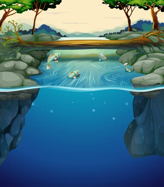 Scène de nature avec des poissons dans la rivière — Image vectorielle