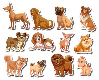 Köpeklerin farklı tür etiketleri