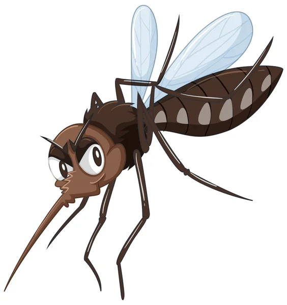 Mosquito in brown color — Stock Vector