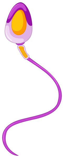 Fertilization theme with sperm