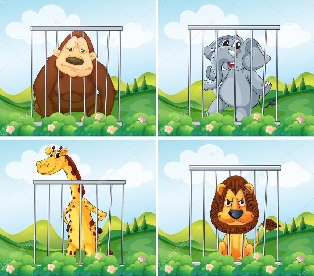 Animales salvajes en jaulas â€” Vector de stock