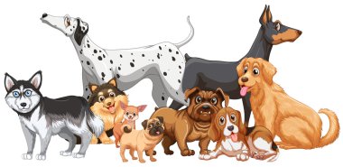 Köpekler farklı tür grup