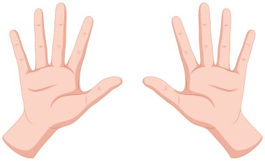 beyaz zemin üzerinde insan eli