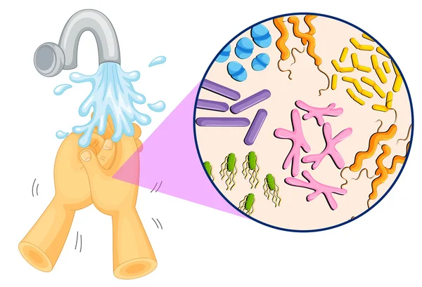 Bacterias en manos humanas — Vector de stock