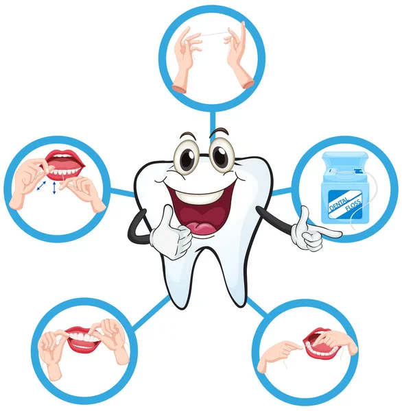 Dente limpo e processo de fio dental — Vetor de Stock