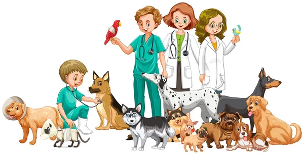 Veterinärer och många djur — Stock vektor