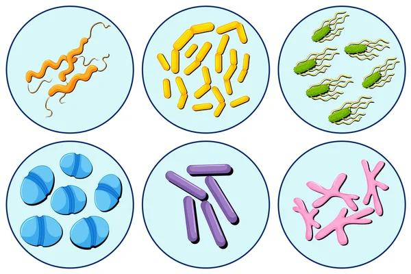 Διαφορετικοί τύποι του ιού σε κύκλο — Διανυσματικό Αρχείο