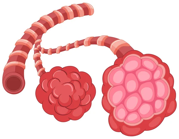 Virus de cerca para neumonía — Archivo Imágenes Vectoriales