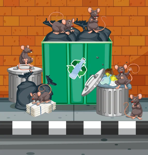 Dirty rats all over trashcans — Stock Vector
