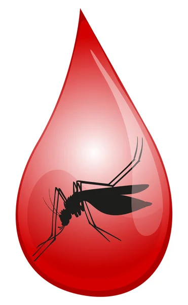 Mosquito en gota de sangre — Vector de stock