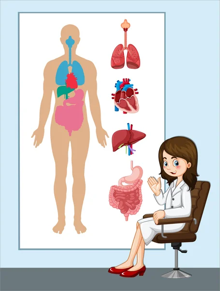 Lékař a anatomie grafu — Stockový vektor