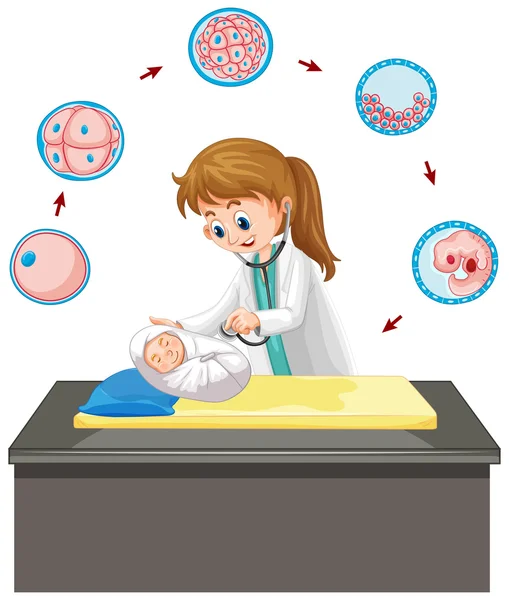 Doctor taking care of infant — Stock Vector