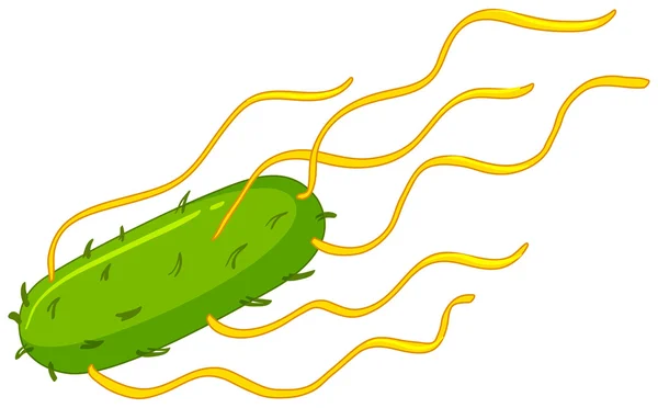 Groene buis bacteriën in de darmen — Stockvector