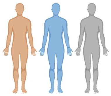 Human body outline in three colors clipart