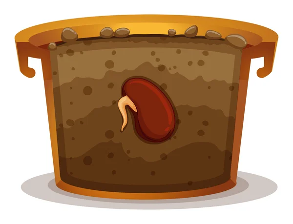 Germination des graines en pot d'argile — Image vectorielle