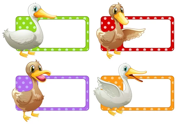 Etiquetas cuadradas con patos — Vector de stock