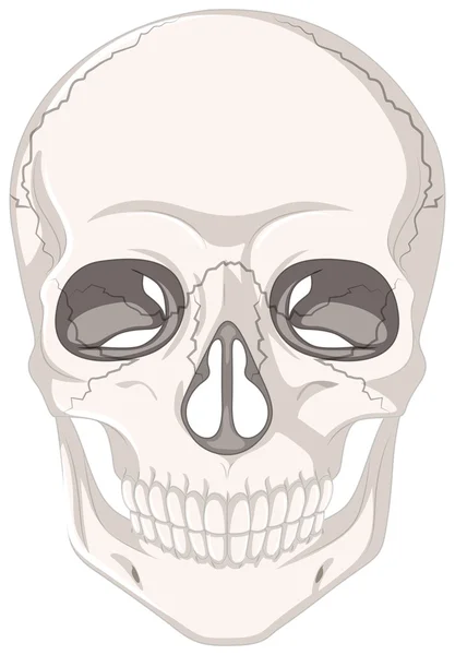人間の頭蓋骨にひびの入ったマーク — ストックベクタ