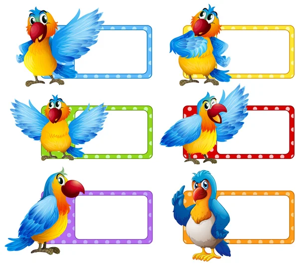 Label design s barevný papoušek — Stockový vektor