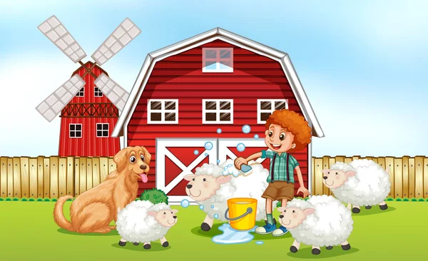 Boy giving sheep bath in the farm — Stock Vector