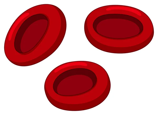 Rote Blutkörperchen auf weißem Hintergrund — Stockvektor