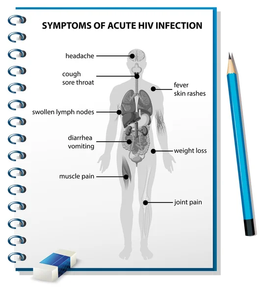 Symptoms of acute HIV infection diagram — Stock Vector