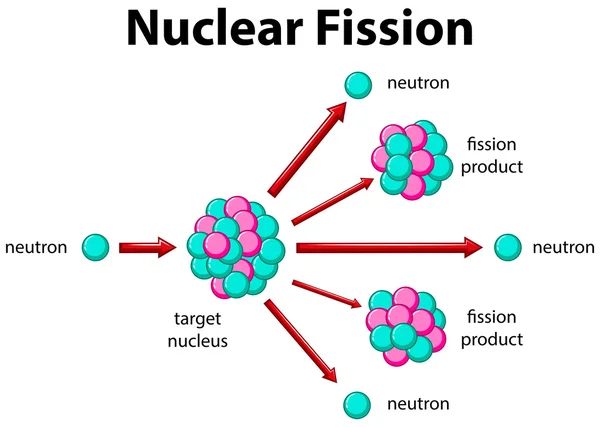 Diagrama que muestra fisión nuclear Vector De Stock