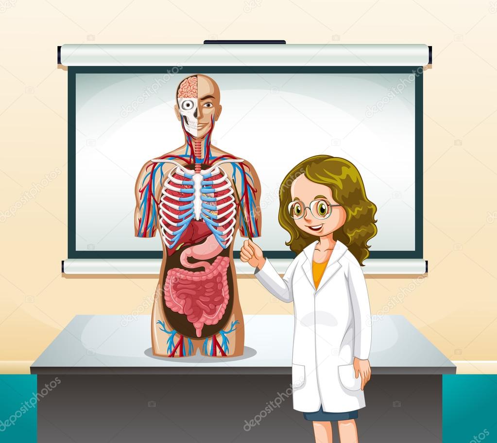 Doctor and human model in classroom
