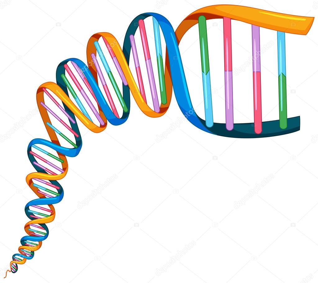 DNA strand in many colors