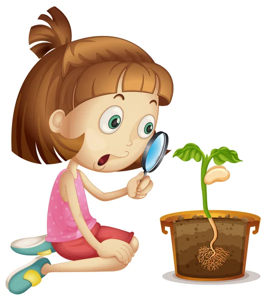 Girl observing plant growing in pot — Stock Vector