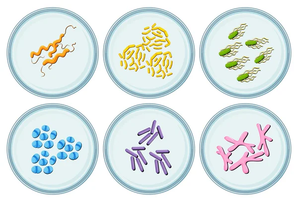 Verschiedene Viren auf runden Tellern — Stockvektor