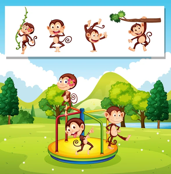 Monos jugando en el parque — Vector de stock