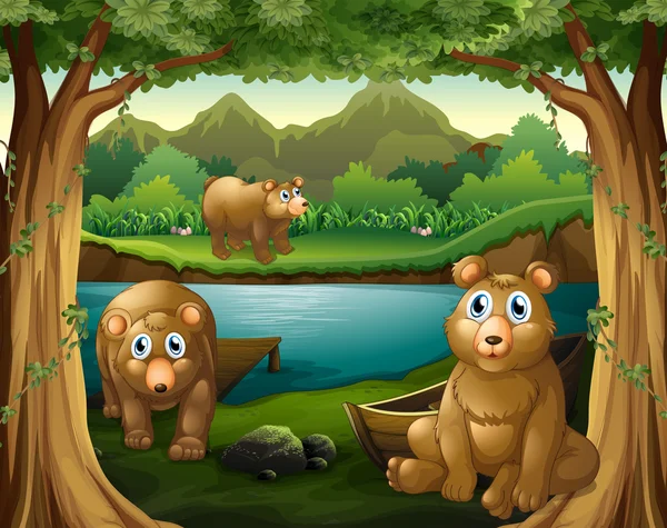 Three bears living by the river — Stock Vector